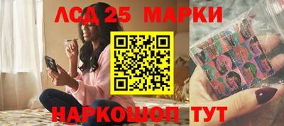 индика Дубна