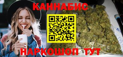индика Дубна