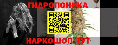 индика Дубна
