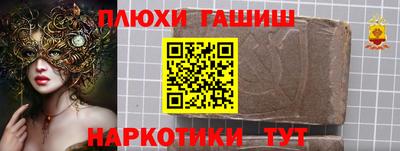 индика Дубна